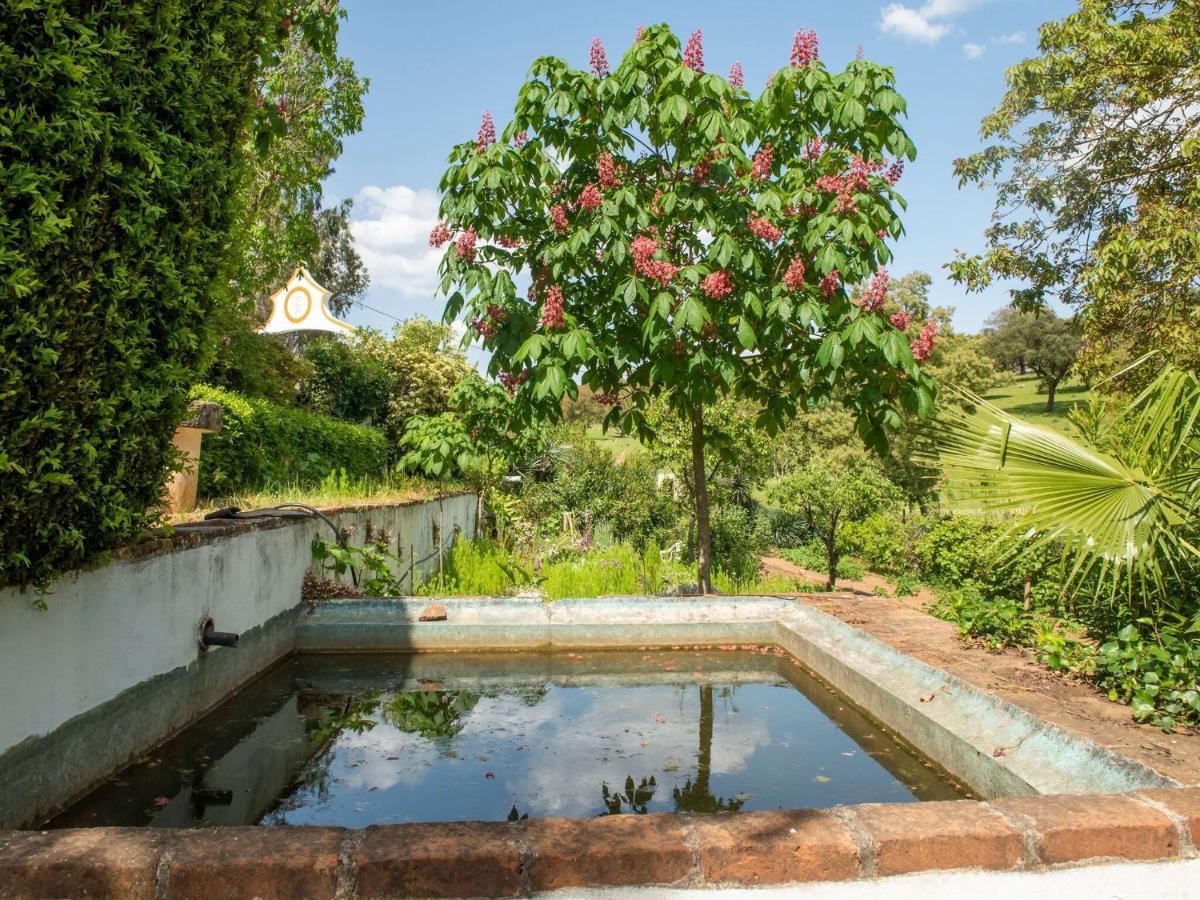Villa House With Authentic Tiling And Antique Furniture Montemor-o-Novo Esterno foto