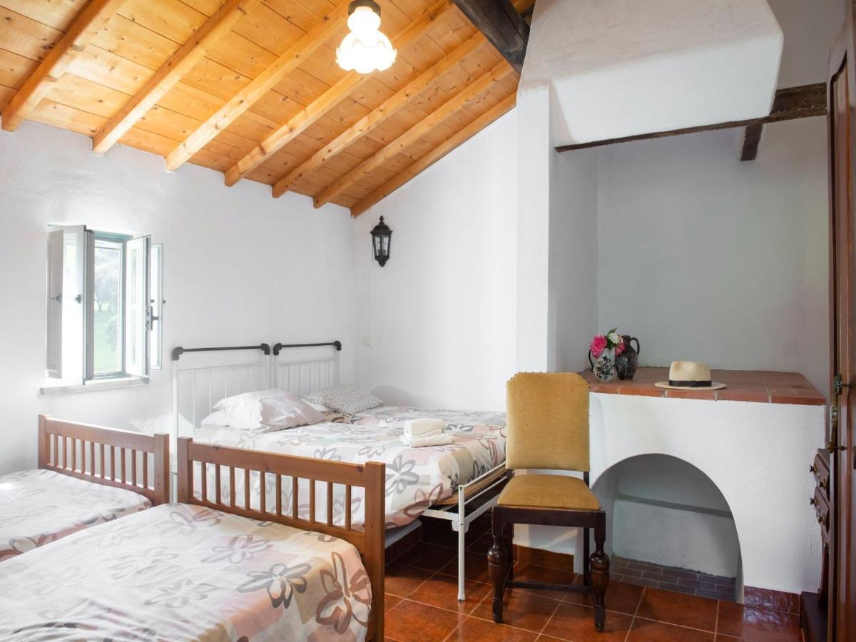 Villa House With Authentic Tiling And Antique Furniture Montemor-o-Novo Esterno foto