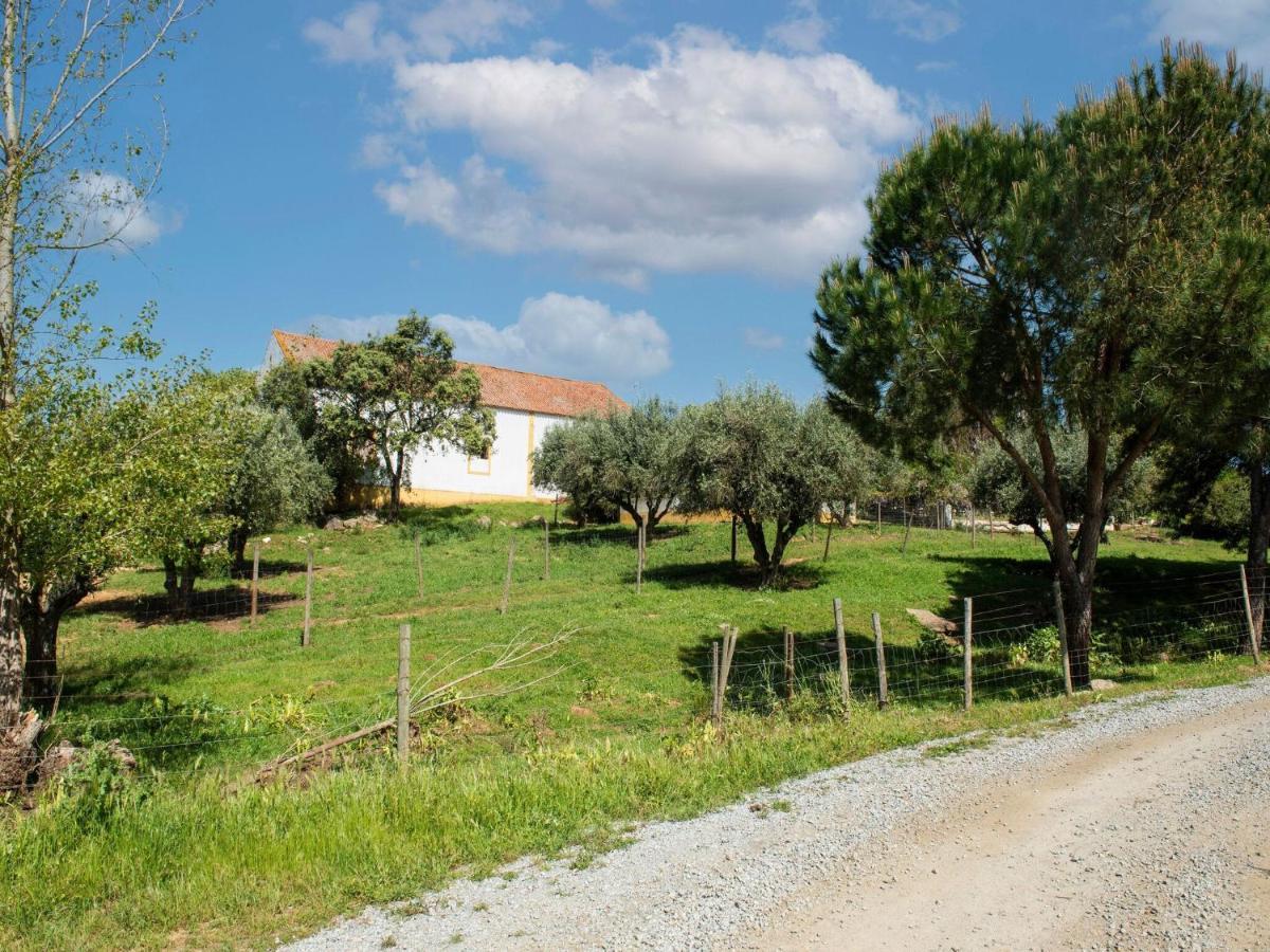 Villa House With Authentic Tiling And Antique Furniture Montemor-o-Novo Esterno foto