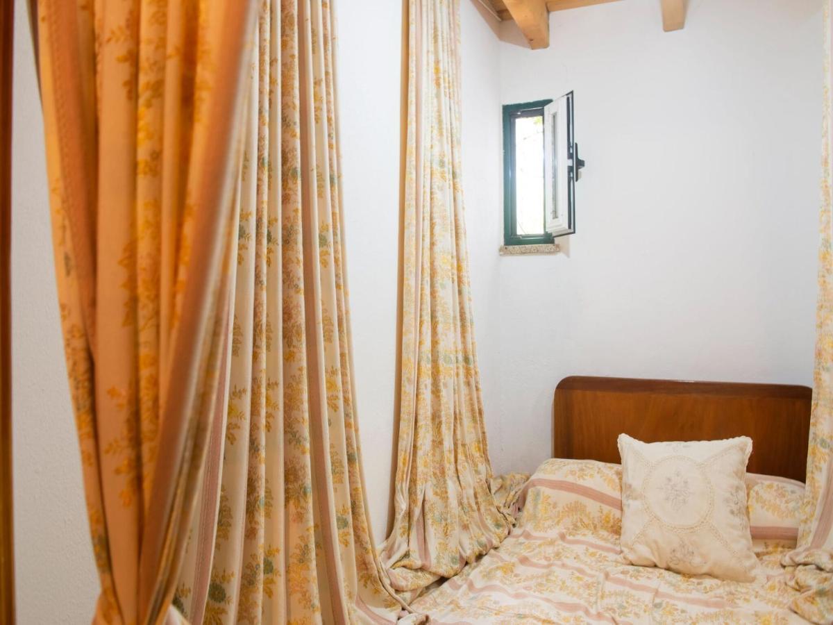 Villa House With Authentic Tiling And Antique Furniture Montemor-o-Novo Esterno foto